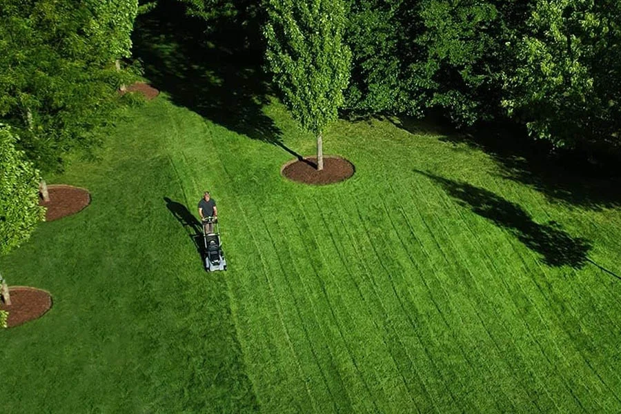 top rated electric lawn mowers